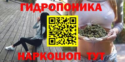 соль ск Краснодар