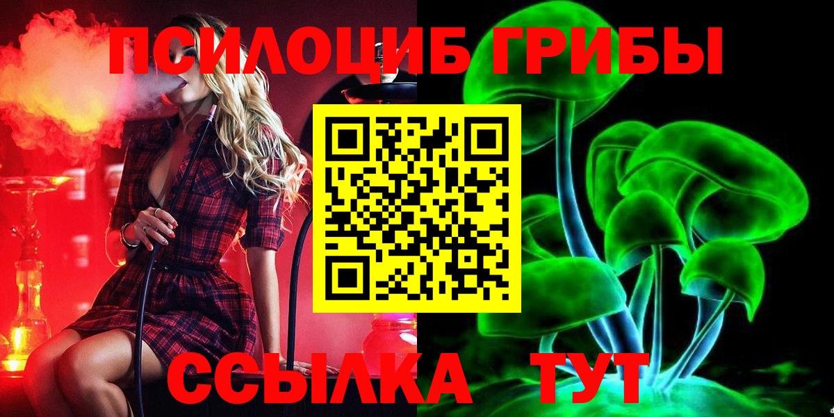 Галлюциногенные грибы Psilocybe Кировск