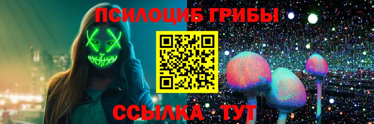 Псилоцибиновые грибы MAGIC MUSHROOMS  Вход с VPN  Кировск 